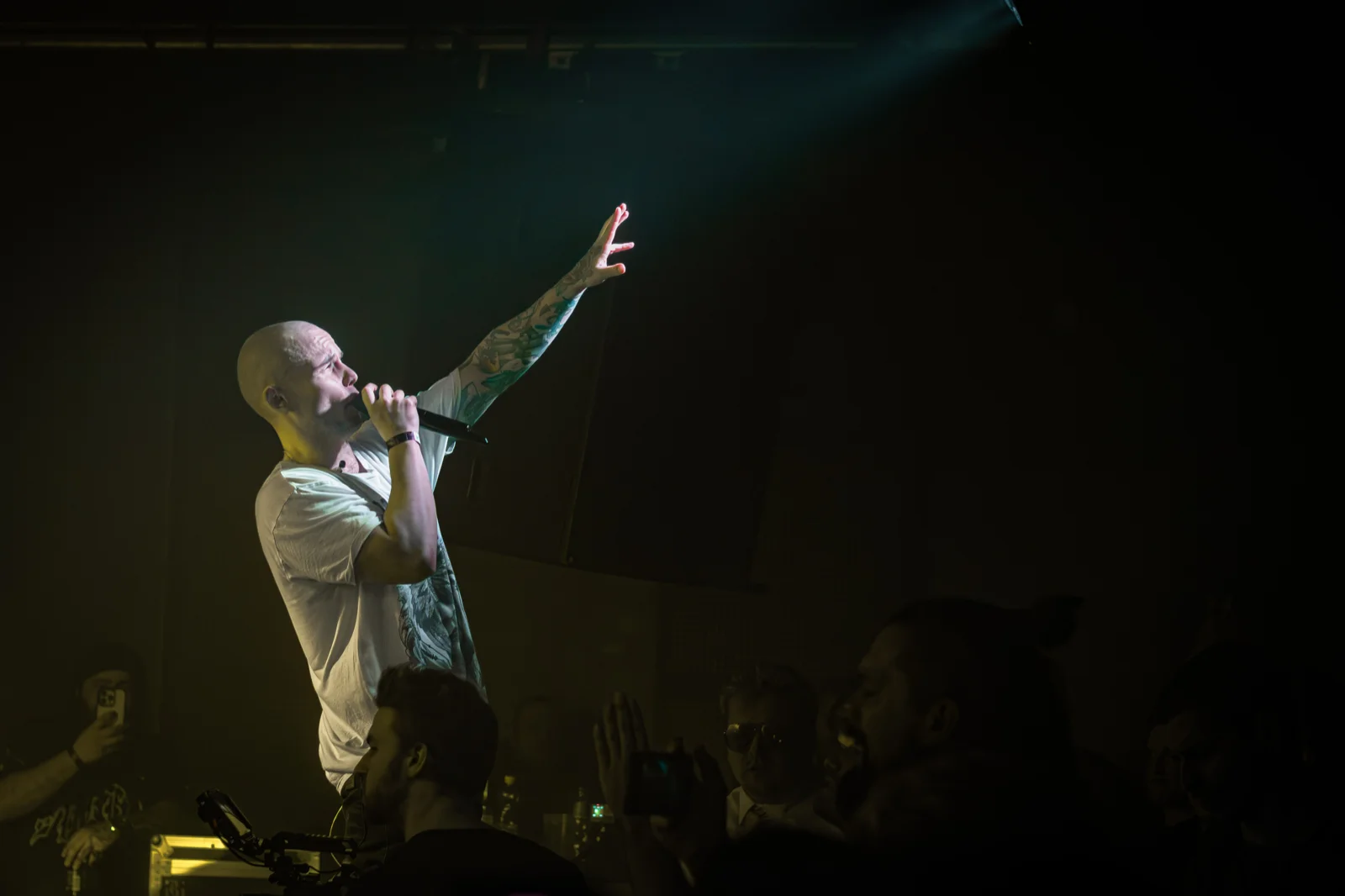 Koncert — NLP