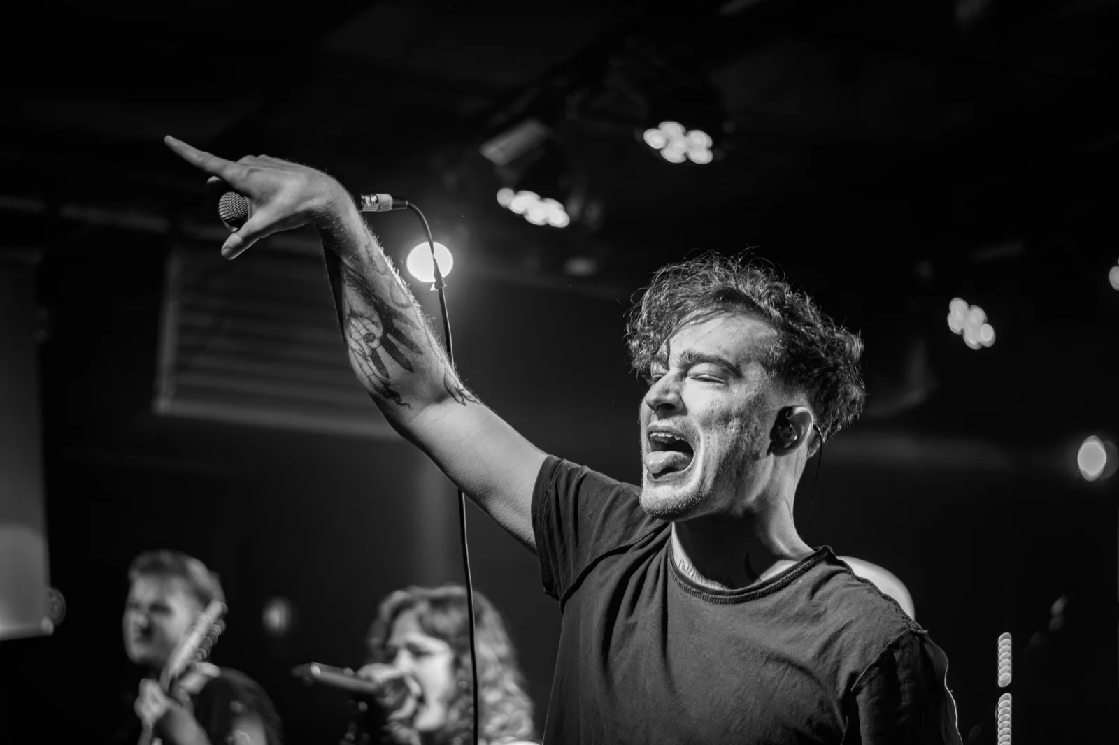 Koncert — NLP